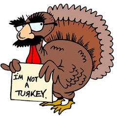 turkeyindisguise