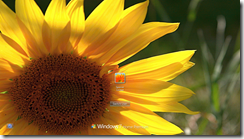 Windows 7-2011-05-25-14-12-15